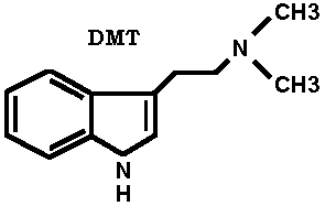 Image of the DMT molecular structure.